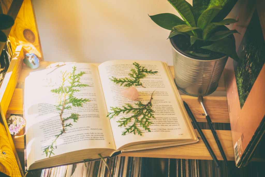 Books I read that are worth&nbsp;reading